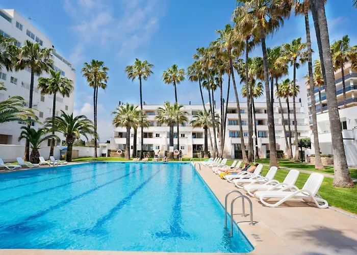Perros hoteles Tamarindos