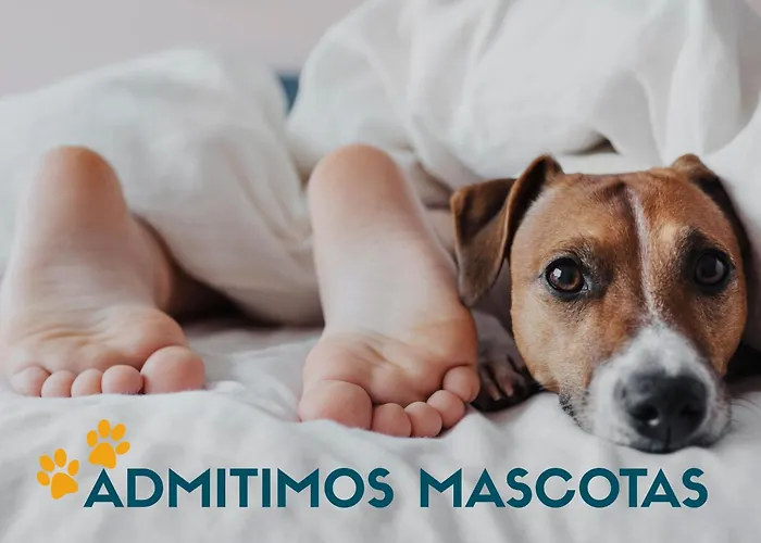 Hotel cerca del colegio: Apartamentos Olimpo 3000